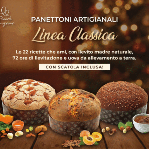 Panettone Artigianale con Scatola – Linea Classica