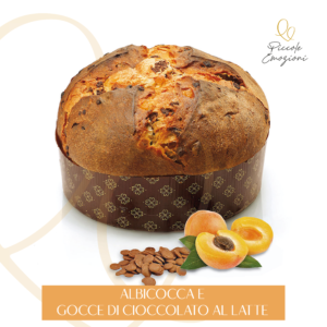 Panettone Artigianale con Scatola – Linea Classica - Albicocca e gocce di cioccolato al latte (NUOVO!)