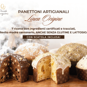Panettone Artigianale con Scatola - Linea Origine