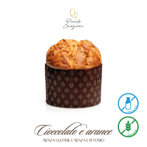Panettone Artigianale con Scatola - Linea Origine - Arancia e Cioccolato Senza Glutine e Lattosio - 100g