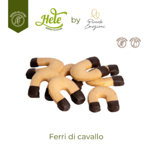 Ferri di cavallo